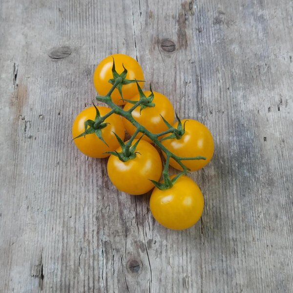 Goldkrone Cherry Tomato-Meraki Seeds