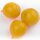Yellow Pendulina Tomato (Solanum lycopersicum)