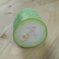 Winter Melon / Wax Gourd (Benincasa hispida) seeds