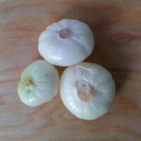 Cipolla Borettana Onion (Allium cepa) seeds