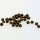 Wild Pea (Pisum sativum subsp. elatius) seeds