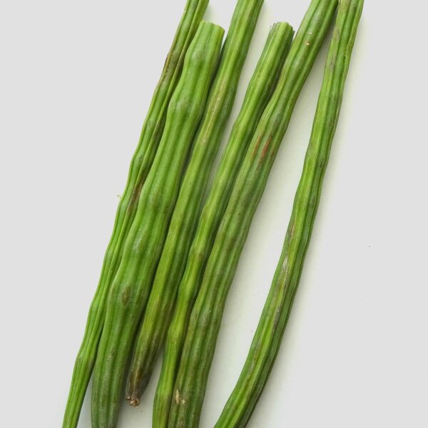 Horseradish Tree / Ben Oil Tree (Moringa oleifera) seeds