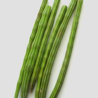 Horseradish Tree / Ben Oil Tree (Moringa oleifera)