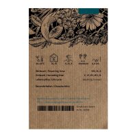 Qing Hao / Sweet Wormwood (Artemisia annua) seeds
