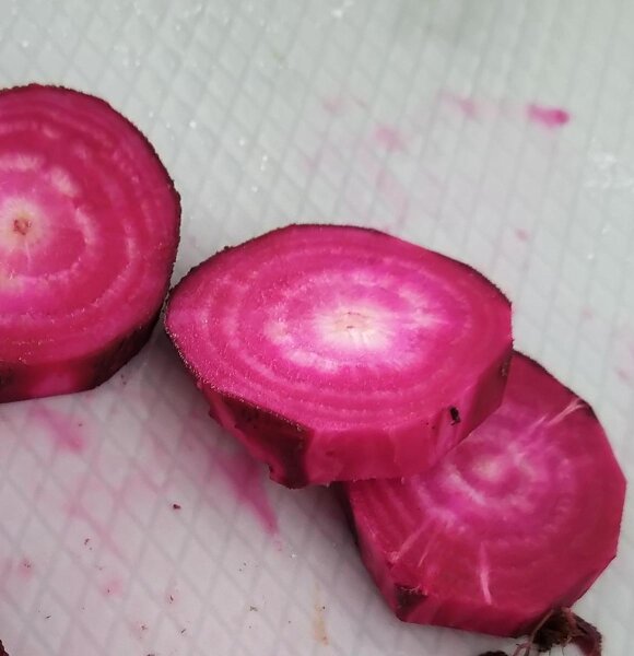 Red Beetroot Crapaudine (Beta vulgaris) seeds