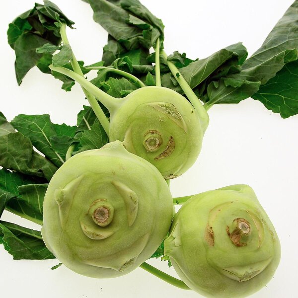 White Kohlrabi Superschmelz (Brassica oleracea var. gongylodes) organic seeds