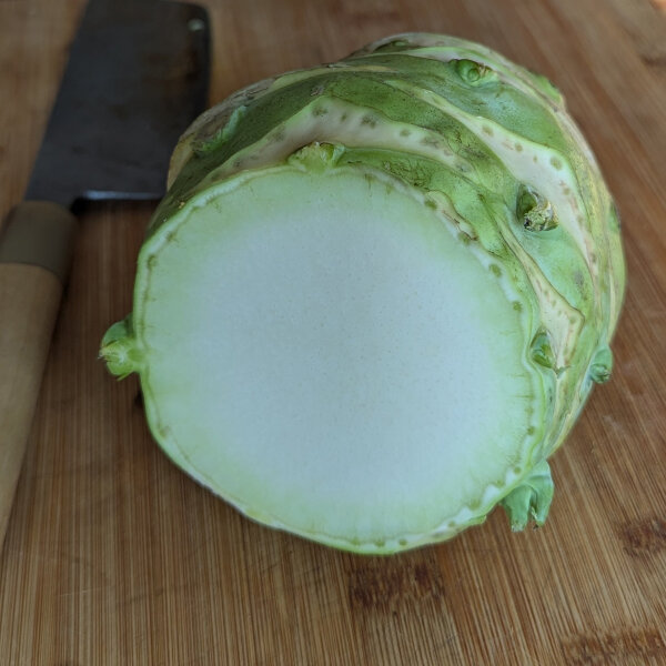 White Kohlrabi Superschmelz (Brassica oleracea var. gongylodes) organic seeds