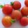 Tomato Matina (Solanum lycopersicum) organic seeds