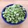 Fava Bean Hangdown (Vicia faba) organic seeds