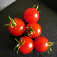 Cherry Tomato Zuckertraube (Solanum lycopersicum) organic...