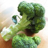 Broccoli Calabrese (Brassica oleracea)