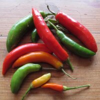 Tabasco Pepper (Capsicum frutescens) seeds