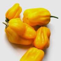 Aji Umba Habanero Pepper (Capsicum chinense) seeds