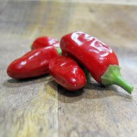 Chili Grandpas Siberian Home Pepper (Capsicum annuum) seeds