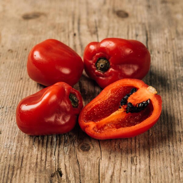 Rocoto Chili Pepper (Capsicum pubescens) seeds