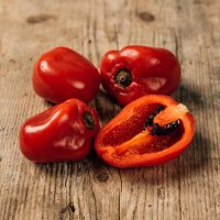 Rocoto Chili Pepper (Capsicum pubescens)
