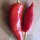 Hungarian Hot Wax Pepper (Capsicum annuum) organic seeds