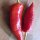 Hungarian Hot Wax Banana Pepper (Capsicum annuum) organic seeds