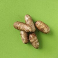 Root Chervil (Chaerophyllum bulbosum) seeds