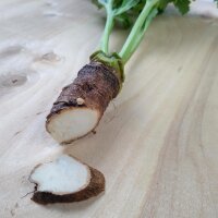 Tatarican Colewort (Crambe tataria) seeds