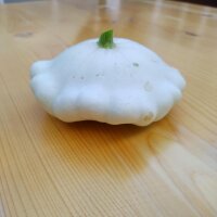 Patisson Blanc / French Pumpkin Custard White (Cucurbita pepo) seeds