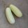 White Cucumber White Wonder (Cucumis sativus) seeds