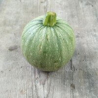 Round Courgette / Rondini Tondo di Nizza (Cucurbita pepo)...