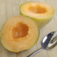 Melon Blenheim Orange (Cucumis melo) seeds