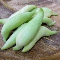 Caigua / Slipper Gourd (Cyclanthera pedata)