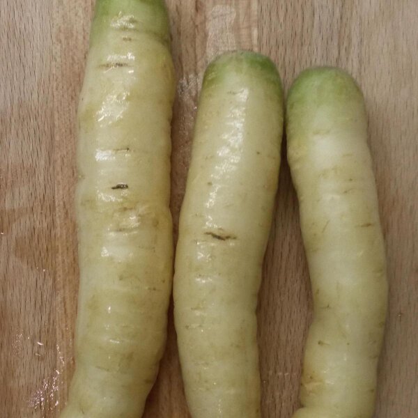 White Carrot Blanche a Collet Vert (Daucus carota) seeds