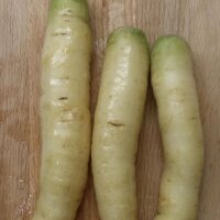 White Carrot Blanche a Collet Vert (Daucus carota) seeds