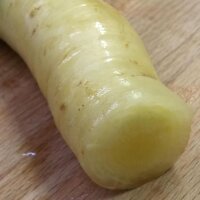 White Carrot Blanche a Collet Vert (Daucus carota) seeds