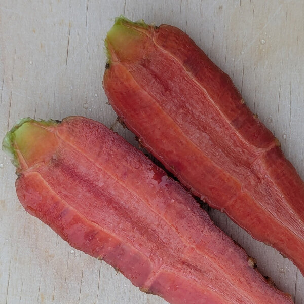 Japanese Red Kintoki Carrot (Daucus carota) seeds