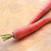 Japanese Red Kintoki Carrot (Daucus carota) seeds