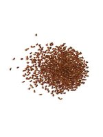 Foxglove (Digitalis lanata) seeds