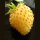 White Strawberry Yellow Wonder (Fragaria vesca) seeds