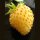 White Strawberry Yellow Wonder (Fragaria vesca) seeds