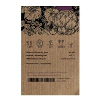 Soya Bean Envy (Glycine max) seeds