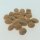 Soya Bean Envy (Glycine max) seeds