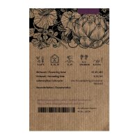 Leaf lettuce Red Salad Bowl (Lactuca sativa)  seeds