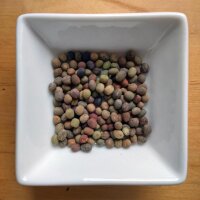 Earthnut Pea (Lathyrus tuberosus) seeds