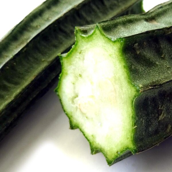 thumbnail image 2 of 12 Ridged Luffa / Angled Gourd Seeds - Chinese Okra / Sponge Gourd (Luffa Acutangula) 2 of 2