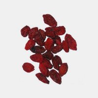 Boxthorn / Goji Berry (Lycium barbarum) seeds