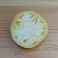 Tomato Beauté Blanche (Solanum lycopersicum)...