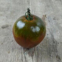 Tomato Black Krim (Solanum lycopersicum)