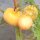 Peach tomato Peche Jaune (Solanum lycopersicum) organic seeds