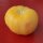 Peach tomato Peche Jaune (Solanum lycopersicum) organic seeds