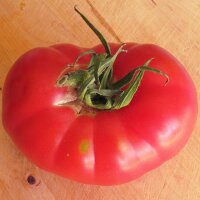 Tomato Rose de Berne (Solanum lycopersicum)