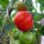 Tomato Tigerella (Solanum lycopersicum) seeds