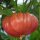 Tomato Brandywine Pink (Solanum lycopersicum) seeds